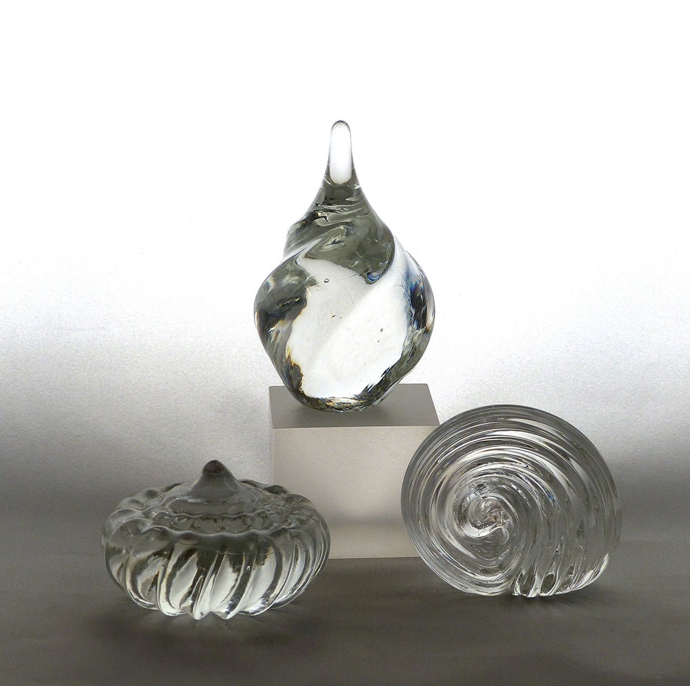 Clear Shell Paperweights